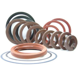 Oil-Seal-1